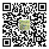 佛山市順德區(qū)至細(xì)無(wú)塵毛刷有限公司